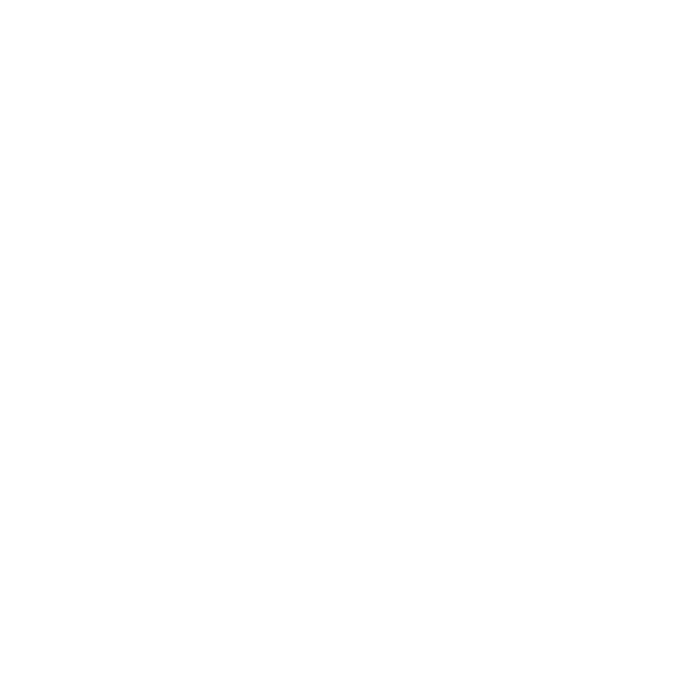 Phone-Icon